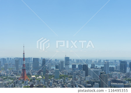 Scenery in Tokyo 116495355