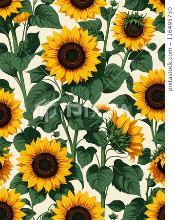Sunflower illustration 116495730