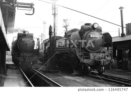 D51 steam locomotives (No. 1107 and No. 135) parked at the depot D51 steam locomotives (No. 1107 and No. 135) parked at the depot 116495747