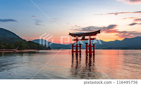 嚴島神社的黃昏 116495756