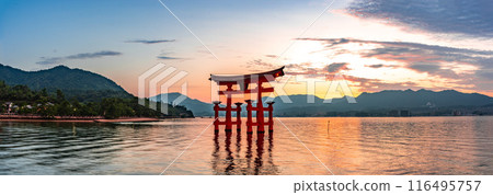 嚴島神社的黃昏 116495757