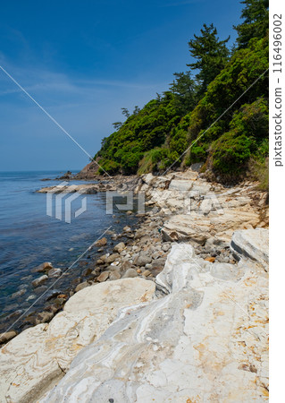 福井縣堺市三國町東尋坊安島 116496002