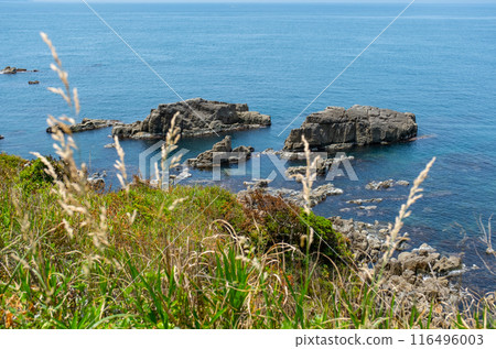 Tojinbo, Yasushima, Mikuni-cho, Sakai City, Fukui Prefecture 116496003