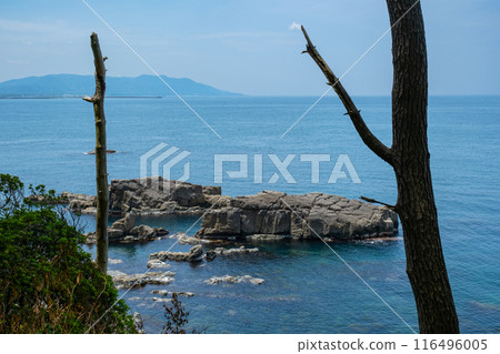 Tojinbo, Yasushima, Mikuni-cho, Sakai City, Fukui Prefecture 116496005