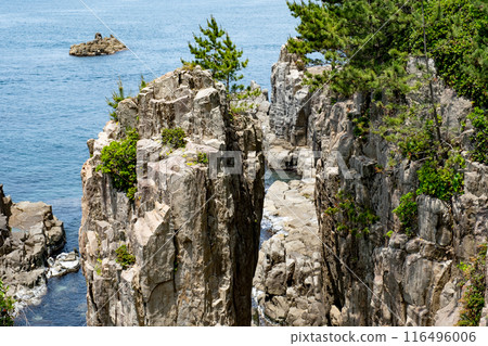 Tojinbo, Yasushima, Mikuni-cho, Sakai City, Fukui Prefecture 116496006
