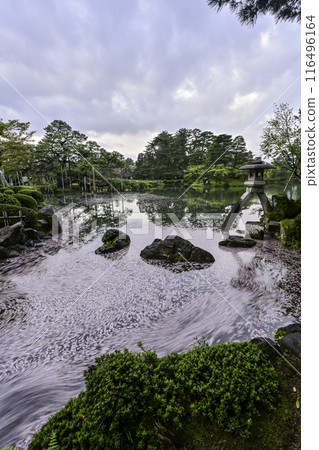 櫻花花瓣在水面流動的兼六園 櫻花花瓣在水面流動的兼六園 116496164