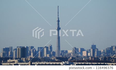 Tokyo Skytree and skyscrapers in central Tokyo 116496376