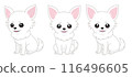 Chihuahua sitting illustration set 2 116496605