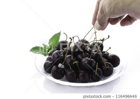 美國櫻桃（白底） 116496649
