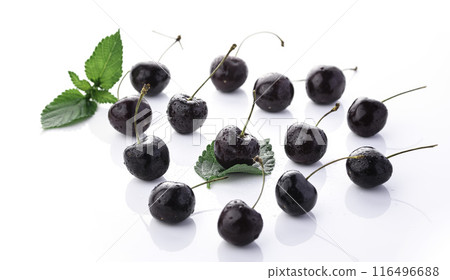 American Cherry (White Background) American Cherry (White Background) 116496688