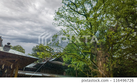 靖國神社在下雨天 靖國神社在下雨天 116496726