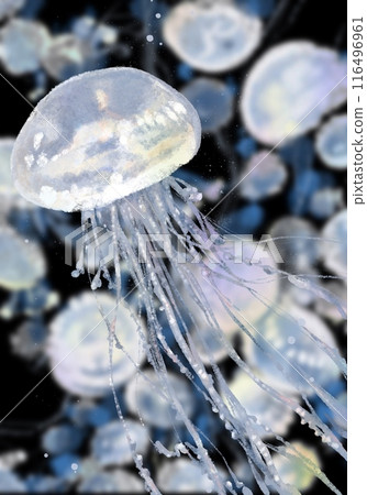 Hand-drawn illustration of a fantastic jellyfish 116496961