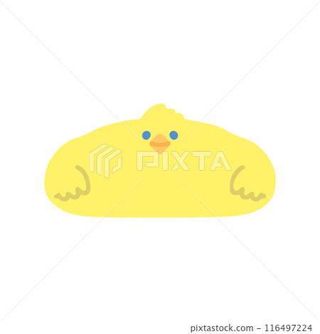 Cute and relaxed bird 116497224