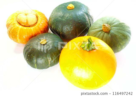 Pumpkin Pumpkin Pumpkin Pumpkin Pumpkin Pumpkin Pumpkin Pumpkin 116497242