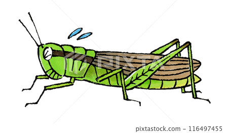 Troubled locusts 116497455