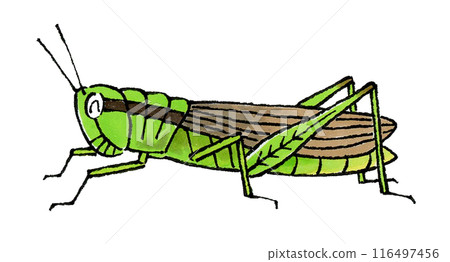 Happy Locusts 116497456