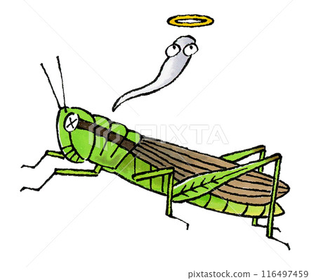 Dead locust Dead locust 116497459