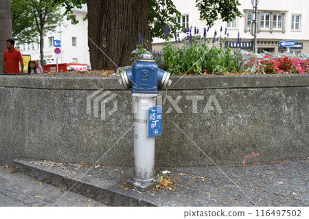 a fire hydrant on the sidewalk a fire hydrant on the sidewalk 116497502