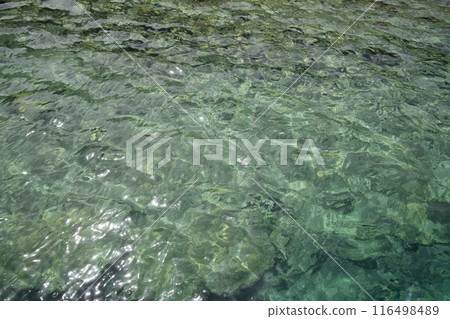 surface of the sea in shallow water, sleepy glare on the waves. 116498489