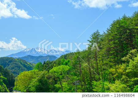新綠與殘雪的御嶽山【拍攝於木曾郡木曾町】 116498604