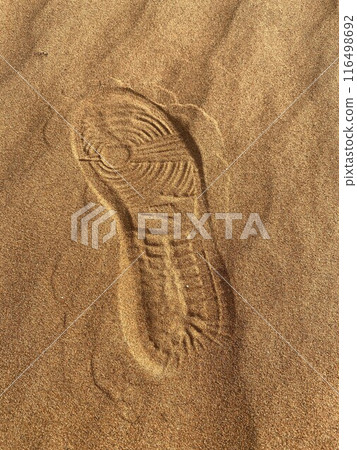 footprints on the sandy beach 116498692