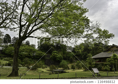 綠意盎然的金澤城玉泉院丸庭園 綠意盎然的金澤城玉泉院丸庭園 116498812