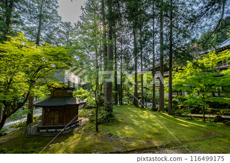 Eiheiji Temple Stamp Pagoda, Eiheiji Town, Yoshida County, Fukui Prefecture Eiheiji Temple Stamp Pagoda, Eiheiji Town, Yoshida County, Fukui Prefecture 116499175