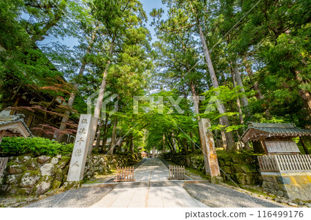Eiheiji Ryumon, Eiheiji Town, Yoshida County, Fukui Prefecture 116499176