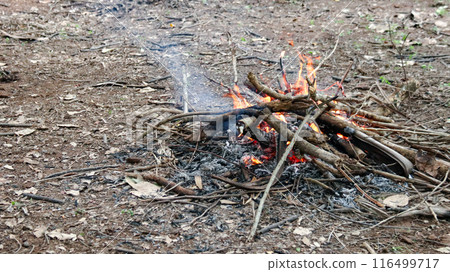 Image of a bonfire, to enhance people awareness of forest preservation and environment care. Image of a bonfire, to enhance people awareness of forest preservation and environment care. 116499717