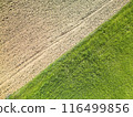 Aerial view of half cultivated and half empty field 116499856