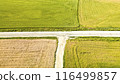 Countryside road in summer field 116499857