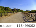 the road to a beach 116499862