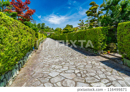 Matsusaka City, Mie Prefecture: The cypress fence and stone pavement of the castle guard's residence 116499871
