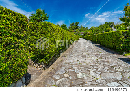 Matsusaka City, Mie Prefecture: The cypress fence and stone pavement of the castle guard's residence Matsusaka City, Mie Prefecture: The cypress fence and stone pavement of the castle guard's residence 116499873