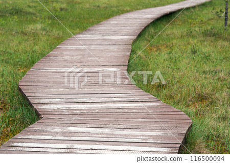 wooden walkway on educational nature trail in the protected peat fen landscape 116500094
