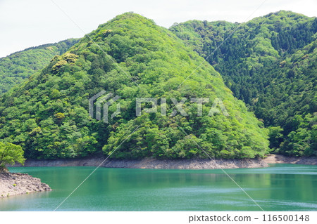 Awaji Island, Hyogo Prefecture, Dainichigawa Dam, Dam Lake 116500148