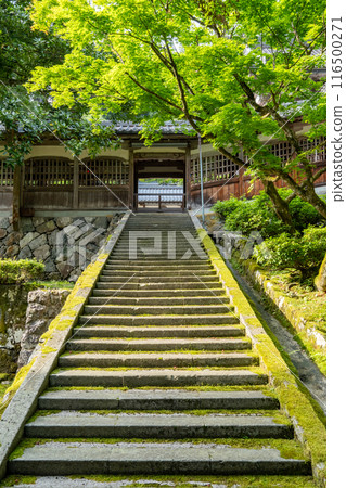 福井縣吉田郡永平寺町永平寺境內 福井縣吉田郡永平寺町永平寺境內 116500271