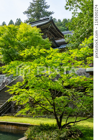 Eiheiji Temple Eiheiji Town, Yoshida County, Fukui Prefecture Eiheiji Temple Eiheiji Town, Yoshida County, Fukui Prefecture 116500274