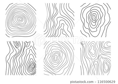 Wood texture material doodle hand drawn line. Tree trunk geometric curve and wave contour. Rings and circles.  116500629