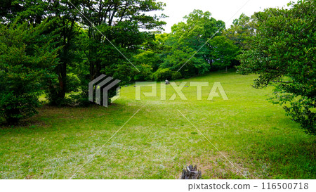 佐賀縣唐津市鏡山山頂 佐賀縣唐津市鏡山山頂 116500718
