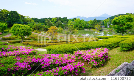 佐賀縣唐津市鏡山山頂 佐賀縣唐津市鏡山山頂 116500723