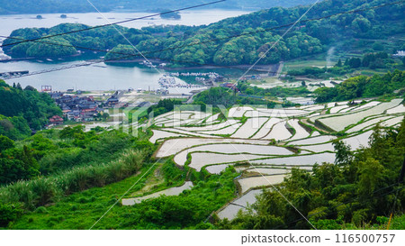 Karatsu City, Oura Rice Terraces 116500757