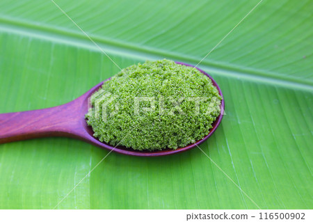 Wolffia globosa or swamp algae, water meal Wolffia globosa or swamp algae, water meal 116500902