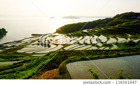 長崎縣松浦市的土屋梯田 長崎縣松浦市的土屋梯田 116501047