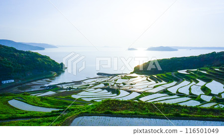 長崎縣松浦市的土屋梯田 長崎縣松浦市的土屋梯田 116501049