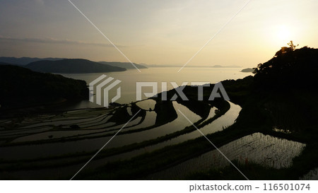 長崎縣松浦市的土屋梯田 116501074