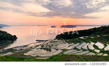 Tsuchitani rice terraces in Matsuura City, Nagasaki Prefecture 116501093