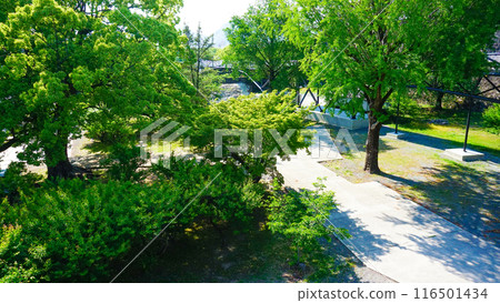 The surrounding area of Kumamoto Castle 116501434