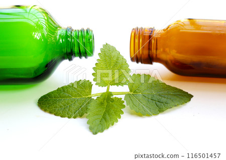 Lemon balm fresh leaves with essential oil bottle 116501457