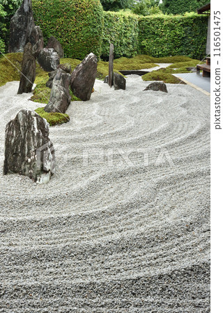 Zuiho-in Temple after the rain: Solitary Garden, Kita-ku, Kyoto City Zuiho-in Temple after the rain: Solitary Garden, Kita-ku, Kyoto City 116501475